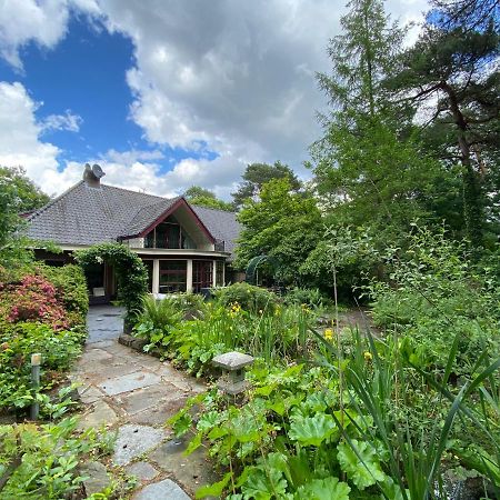 Sjieke Gezellige Villa In Het Bos Lieshout Екстер'єр фото