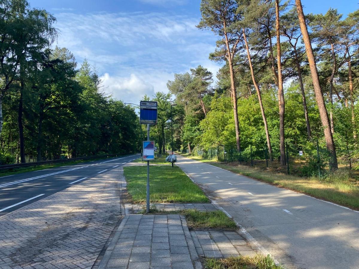 Sjieke Gezellige Villa In Het Bos Lieshout Екстер'єр фото