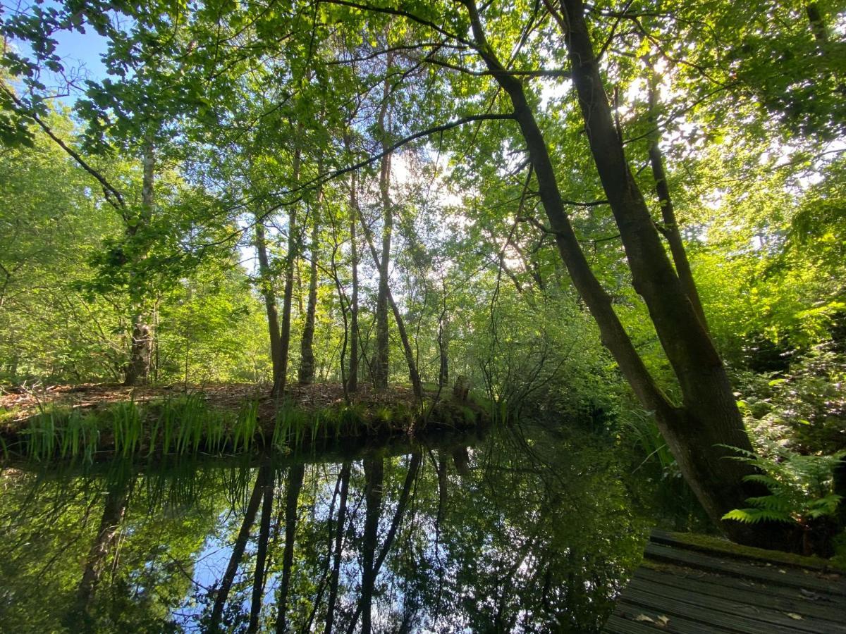 Sjieke Gezellige Villa In Het Bos Lieshout Екстер'єр фото