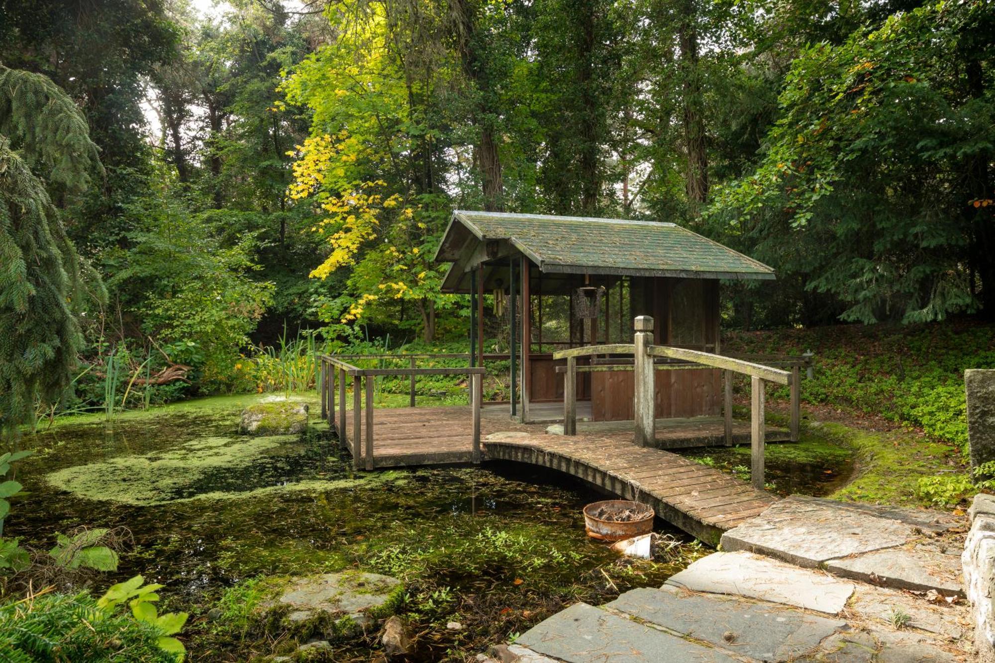 Sjieke Gezellige Villa In Het Bos Lieshout Екстер'єр фото